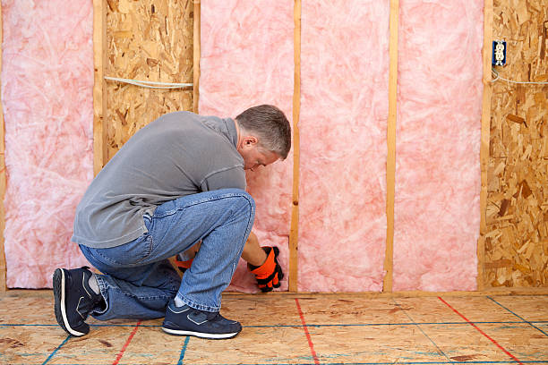 Best Crawl Space Insulation  in Hamlet, NC